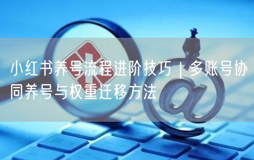 小红书养号流程进阶技巧｜多账号协同养号与权重迁移方法