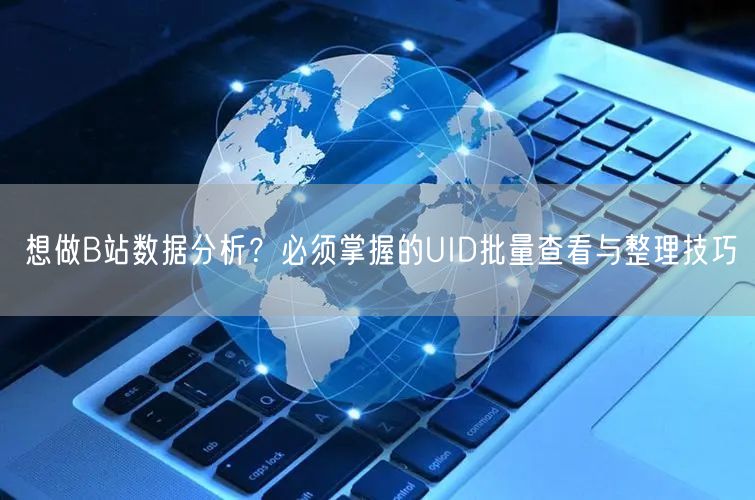 想做B站数据分析？必须掌握的UID批量查看与整理技巧