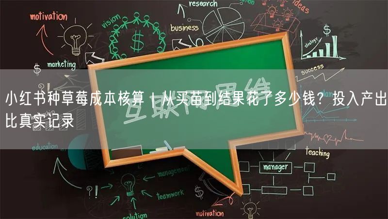小红书种草莓成本核算｜从买苗到结果花了多少钱？投入产出比真实记录
