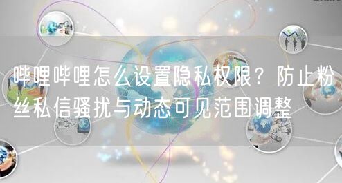哔哩哔哩怎么设置隐私权限？防止粉丝私信骚扰与动态可见范围调整