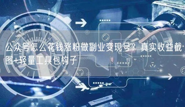 公众号怎么花钱涨粉做副业变现号？真实收益截图+轻量工具包钩子