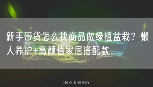 新手带货怎么找商品做绿植盆栽？懒人养护+高颜值家居搭配款